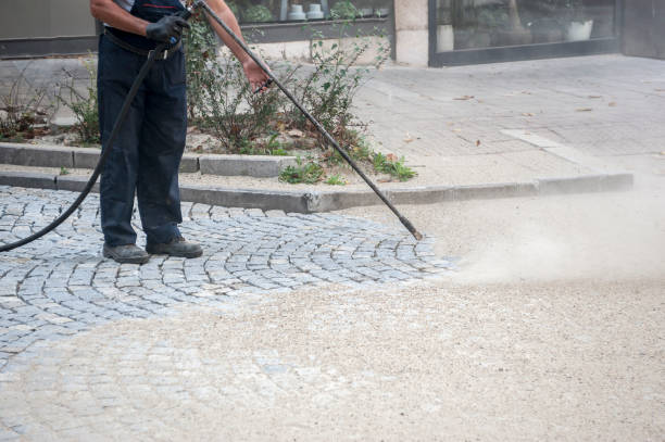 Best Animal Enclosure Cleaning  in New Holland, PA
